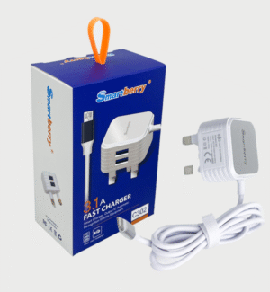 Smartberry Smartberry smart charger C302